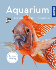 Aquarium - Cover