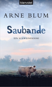 Saubande - Cover