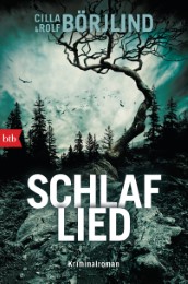 Schlaflied - Cover