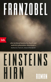 Einsteins Hirn - Cover