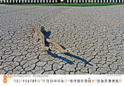 Meteorologischer Kalender/Meteorological Calendar 2025 - Abbildung 8