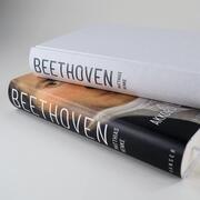 Beethoven - Abbildung 1