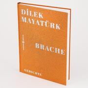 Brache - Abbildung 1
