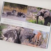 Elefanten - Abbildung 2