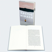 Arctic Mirage - Abbildung 4