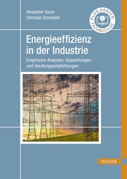 Energieeffizienz in der Industrie