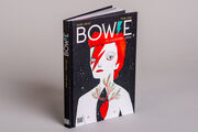Bowie - Abbildung 8