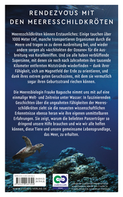 Nomaden der Ozeane - Das Geheimnis der Meeresschildkröten - Abbildung 1