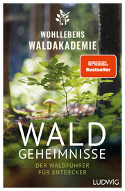 Waldgeheimnisse - Cover