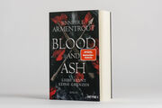 Blood and Ash - Liebe kennt keine Grenzen - Abbildung 1
