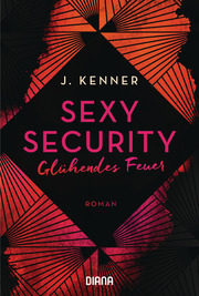 Sexy Security - Cover