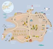 Heimkehr nach Whale Island - Illustrationen 1