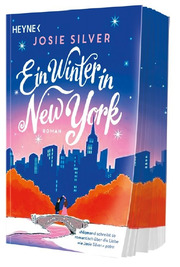 Ein Winter in New York - Cover