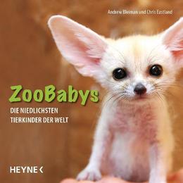Zoobabys - Cover