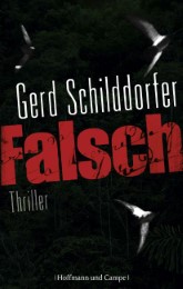 Falsch - Cover
