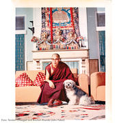 Dalai Lama - Illustrationen 3