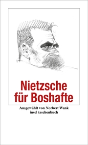 Nietzsche für Boshafte - Cover