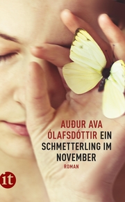 Ein Schmetterling im November - Cover