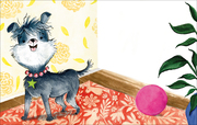 Perla, der Superhund - Illustrationen 1