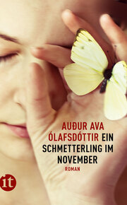 Ein Schmetterling im November - Cover