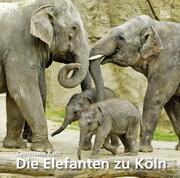 Die Elefanten zu Köln