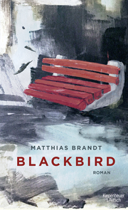Blackbird - Cover