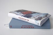 Blackbird - Abbildung 2