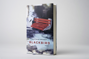Blackbird - Abbildung 3