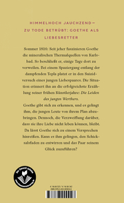 Goethe in Karlsbad - Illustrationen 1