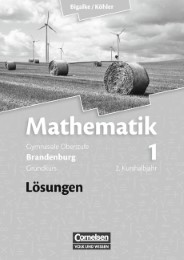 Bigalke/Köhler: Mathematik - Brandenburg - Bisherige Ausgabe / Band 1: 2. Kurshalbjahr/Grundkurs - Qualifikationsphase - Lösungen zum Schülerbuch