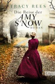 Die Reise der Amy Snow - Cover