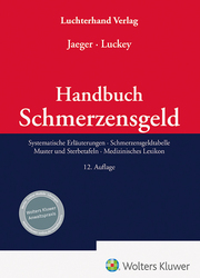 Handbuch Schmerzensgeld - Cover