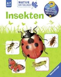 Insekten - Abbildung 4