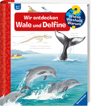 Wir entdecken Wale und Delfine - Abbildung 1