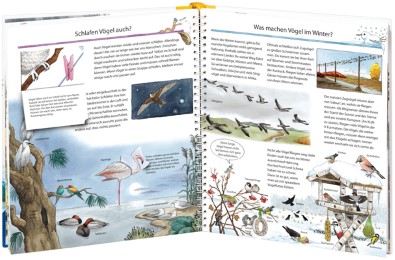 Wir entdecken die Vögel - Illustrationen 1
