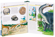 Wir erforschen die Dinosaurier - Illustrationen 4