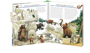 Wir entdecken die Tiere der Urzeit - Abbildung 4