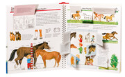 Alles über Pferde und Ponys - Illustrationen 1