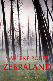 Zebraland - Cover