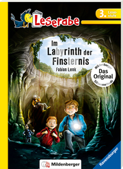 Im Labyrinth der Finsternis - Leserabe 3. Klasse - Erstlesebuch für Kinder ab 8 Jahren - Abbildung 1