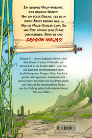 Dragon Ninjas 1: Der Drache der Berge - Abbildung 6