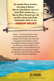 Dragon Ninjas 2: Der Drache des Feuers - Abbildung 6