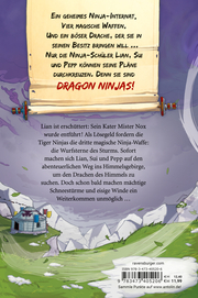 Dragon Ninjas 3: Der Drache des Himmels - Abbildung 6