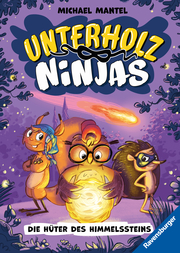 Unterholz-Ninjas 2: Die Hüter des Himmelssteins - Cover
