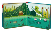 Wie kleine Tiere groß werden: Der kleine Frosch - Illustrationen 5