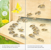 Ich bin die kleine Biene - Abbildung 2