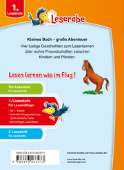 Erstlesegeschichten: Ponys und Pferde - Leserabe 1. Klasse - Erstlesebuch für Kinder ab 6 Jahren - Abbildung 3