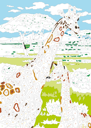 Ravensburger Malen nach Zahlen Wilde Tiere - 32 Motive abgestimmt auf Buntstiftsets mit 24 Farben (Stifte nicht enthalten) - Malbuch mit nummerierten Ausmalfeldern für fortgeschrittene Fans der Reihe - Abbildung 3