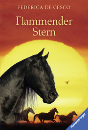 Flammender Stern - Cover