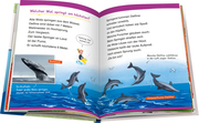 Wale und Delfine - Abbildung 4